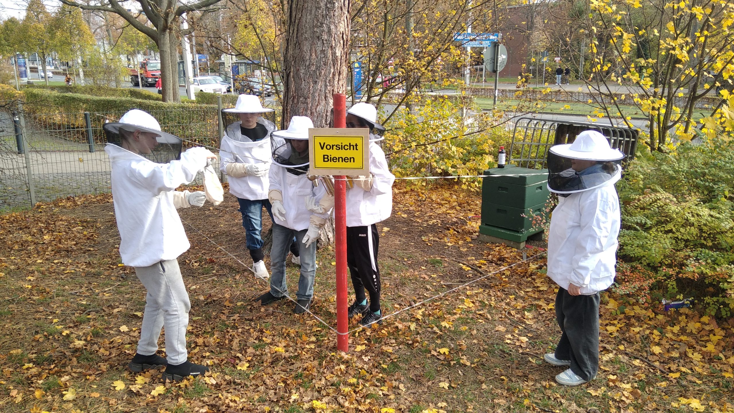 Unsere Bienen-AG stellt sich vor: Imkern an der Luisenschule